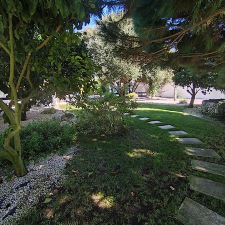 Quinta Camargue Bed and Breakfast Cela Velha Exteriör bild