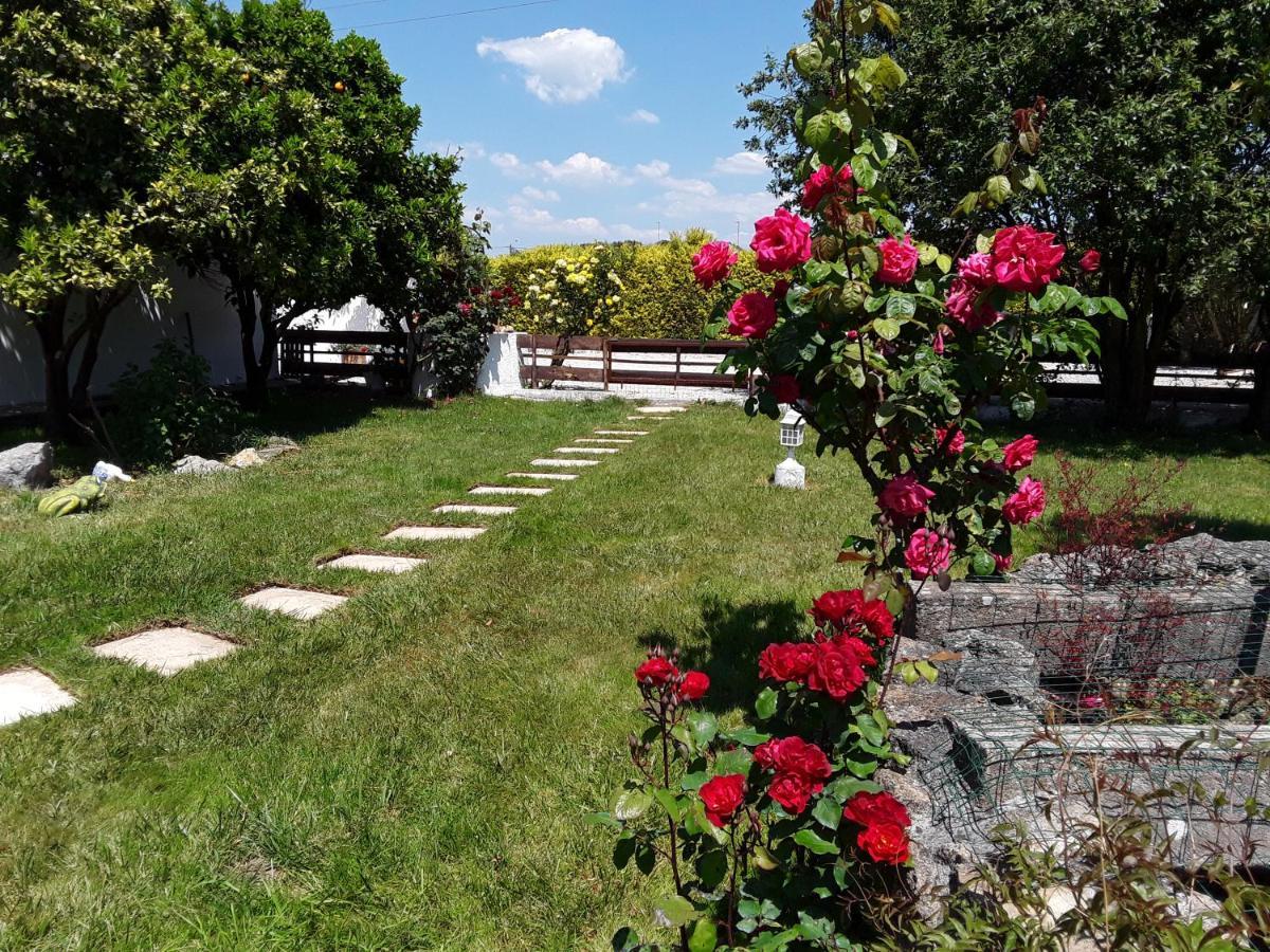 Quinta Camargue Bed and Breakfast Cela Velha Exteriör bild