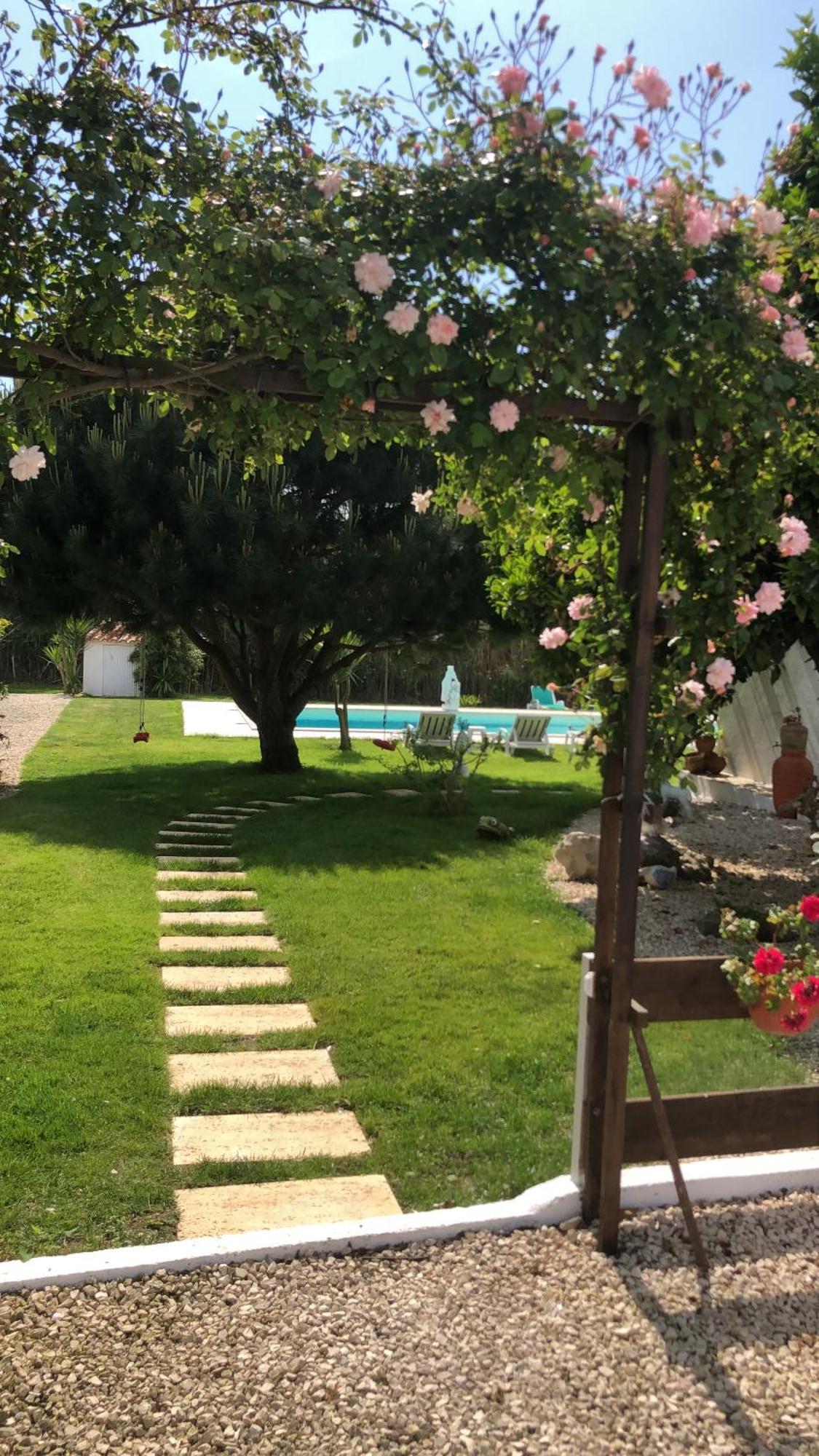 Quinta Camargue Bed and Breakfast Cela Velha Exteriör bild